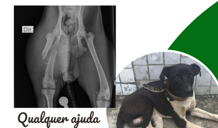 AJUDE NA CIRURGIA DO PRETO 241