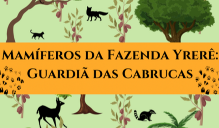 Projeto mamíferos da Fazenda Yrerê: a guardiã das cabrucas