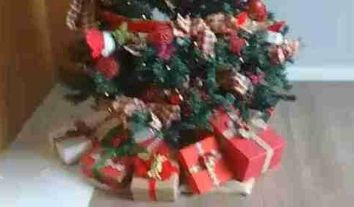 Atrative Vila Mariana 