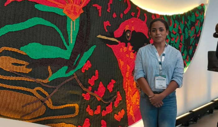 WSED Young Energy Researchers Conference 2025 - Wels/ Austria