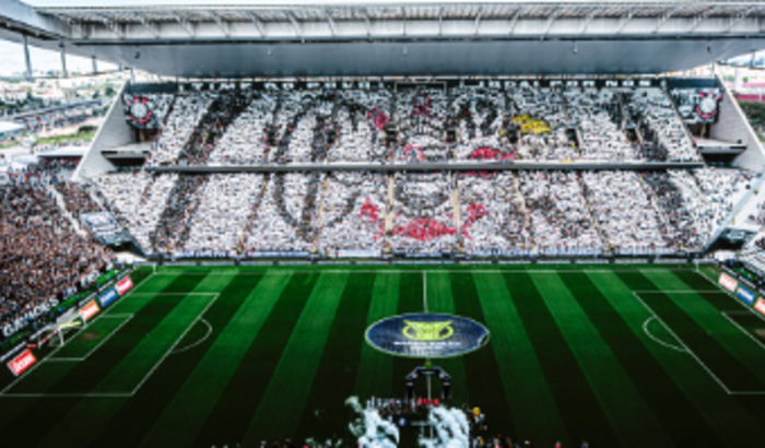 Doe Neo Quimica Arena 