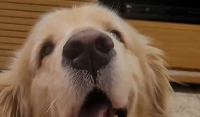 Phil vencer o Câncer