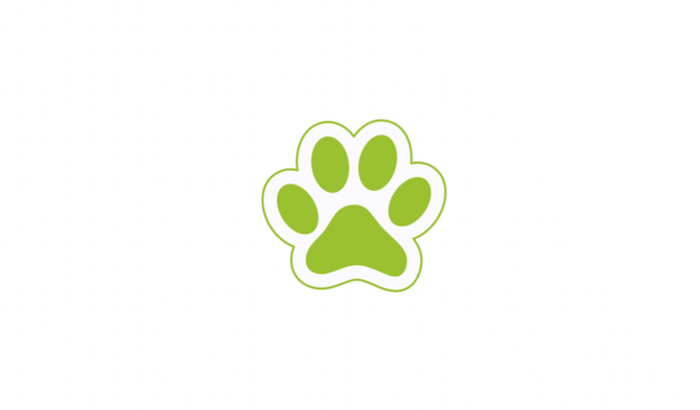 Comunidade de Proteção e Assistência Animal