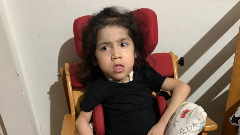 CADEIRA  DE RODAS E ANDADOR ANA FLÁVIA