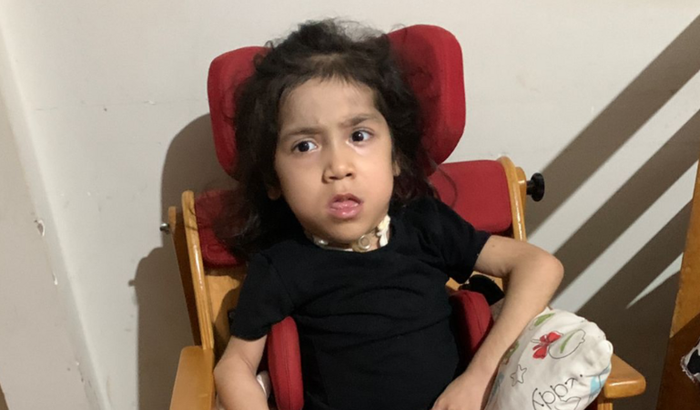 CADEIRA  DE RODAS E ANDADOR ANA FLÁVIA