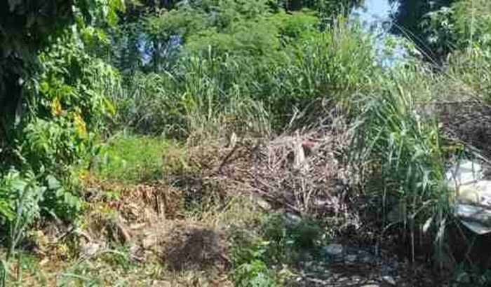 TERRENO PARA IGREJA E ONG