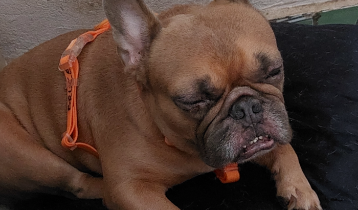 Ajude o Bruce a fazer uma cirurgia 