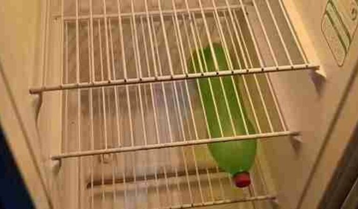 Ajude Me A Comprar Comida Casa