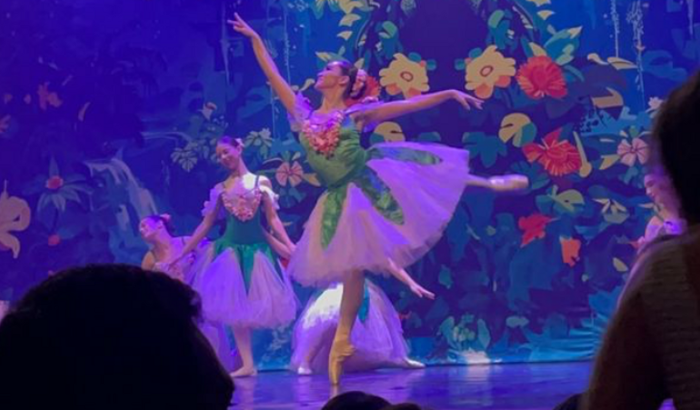 Curso de Férias- um passo para o futuro