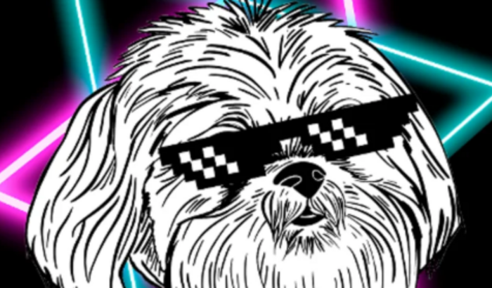 AJUDE O BOB BAR + INICIO DA COZINHA