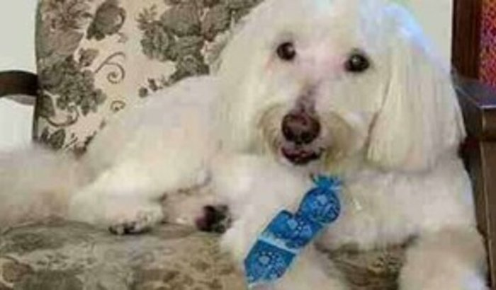 Ajude a financiar o tratamento de câncer do Jonh