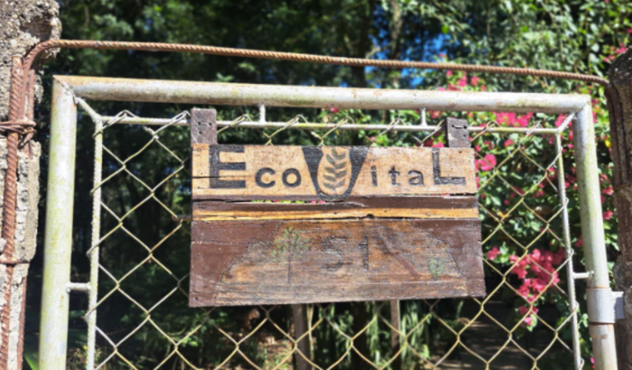 Contribua com a ONG Ecovital