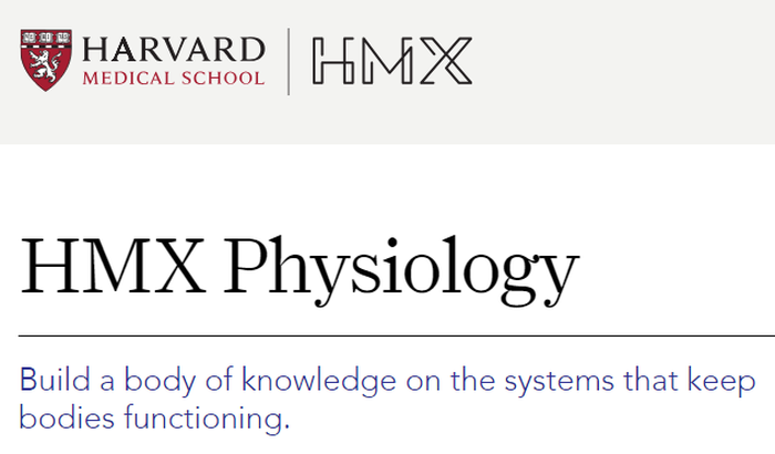Curso em Harvard 