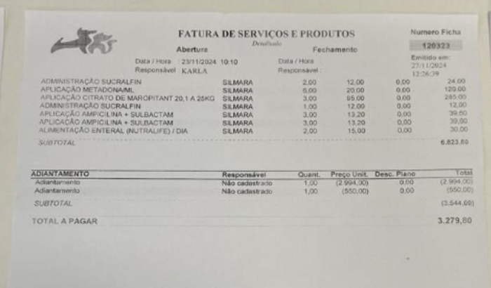 Despesas com veterinário 