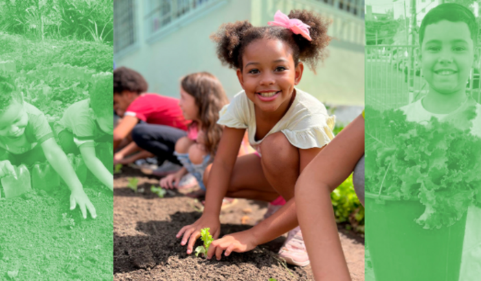 Mantenha hortas nas escolas