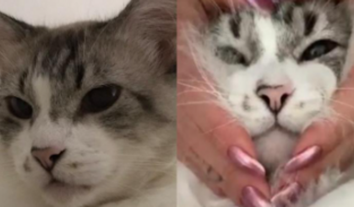 Ajudando o Joe <3 <3