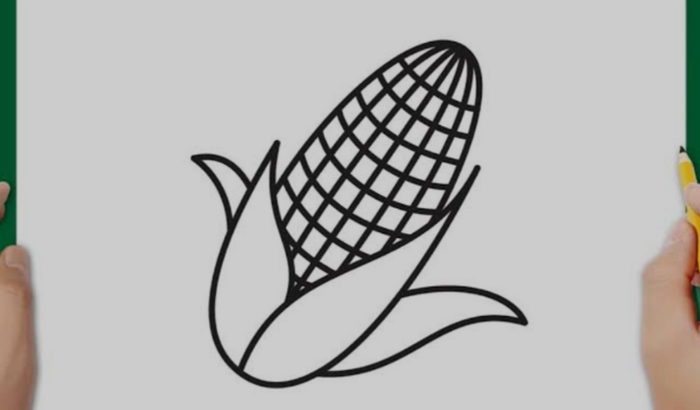 Ajuda pra abrir minha lavoura de milho no Piauí!