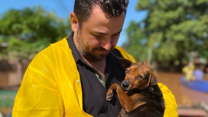 imagem da vaquinha AJUDE A COMPRAR RAÇÃO PARA OS ANIMAIS DE RUA E ABRIGADOS