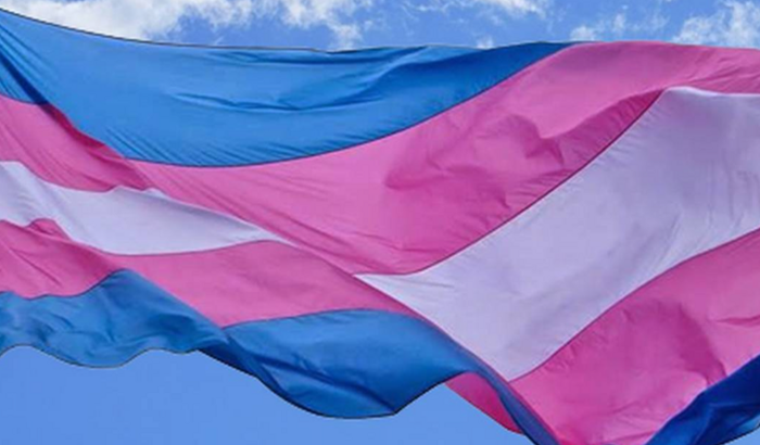 Hormônios e depilação a laser para mulher trans
