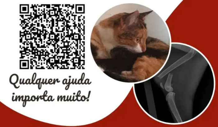 Ajude a Ana Catarina