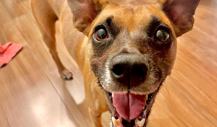 Ajude a Stellinha combater o câncer!!