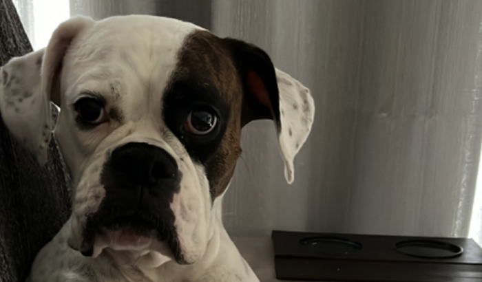 Ajuda para salvar a Nalinha