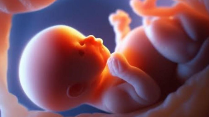 Ajude Tio Léo e  Tia Lidi, a realizarem o sonho de ser Papais.