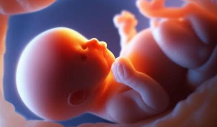 Ajude Tio Léo e  Tia Lidi, a realizarem o sonho de ser Papais.