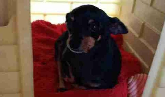 Venho pedi ajuda para amora 