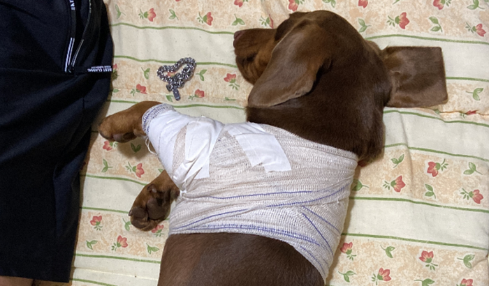 Ajude o Tom na sua cirurgia