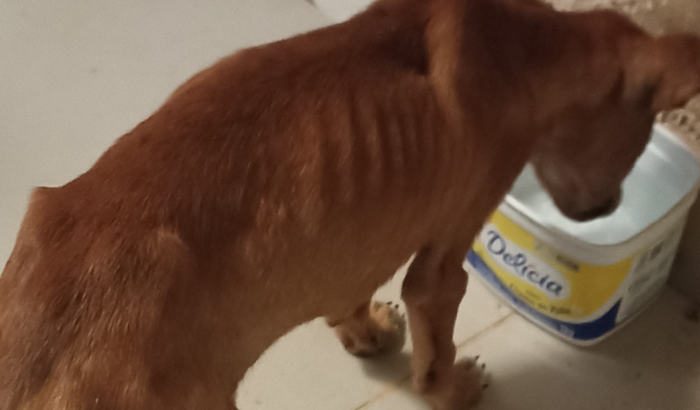 SOS RAÇÃO, A FOME NÃO ESPERA