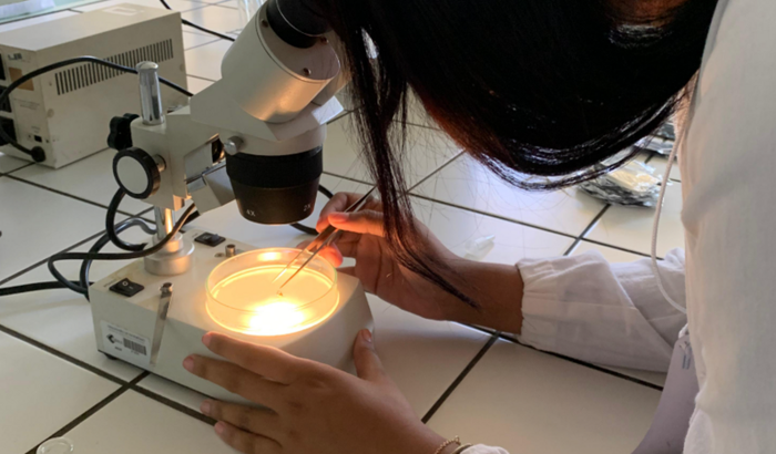 Vakinha solidária: ajude Nicole a conseguir realizar o seu sonho, estudar fora
