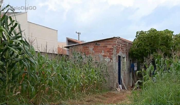 Ajude construir minha casinha de novo por favor