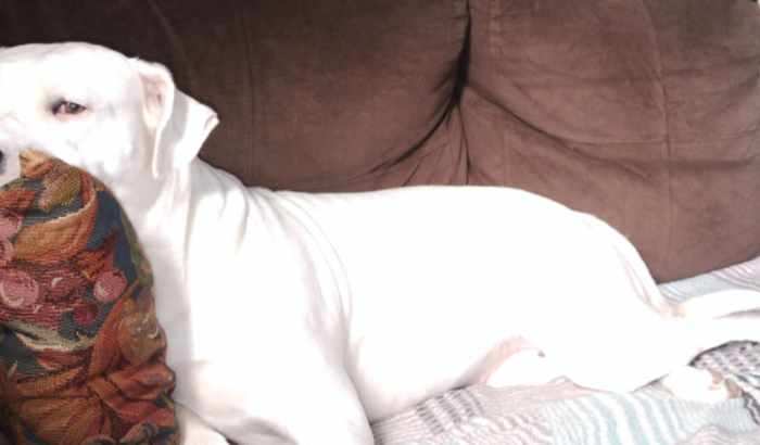 Custear o tratamento da safira