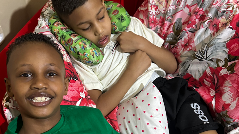 Irmãos Alexandre e Fernando