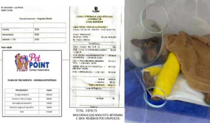 AJUDA PARA CLÍNICA CACHORRA RESGATADA MACHUCADA