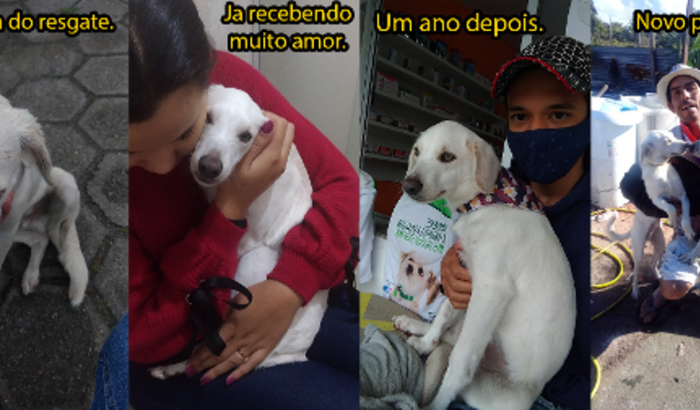 Quero Ser Veterinário!