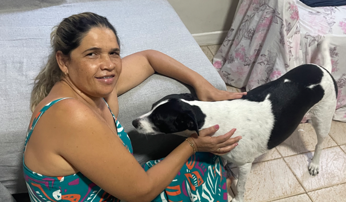 cirurgia de um linfonodo câncer de pele da cachorra