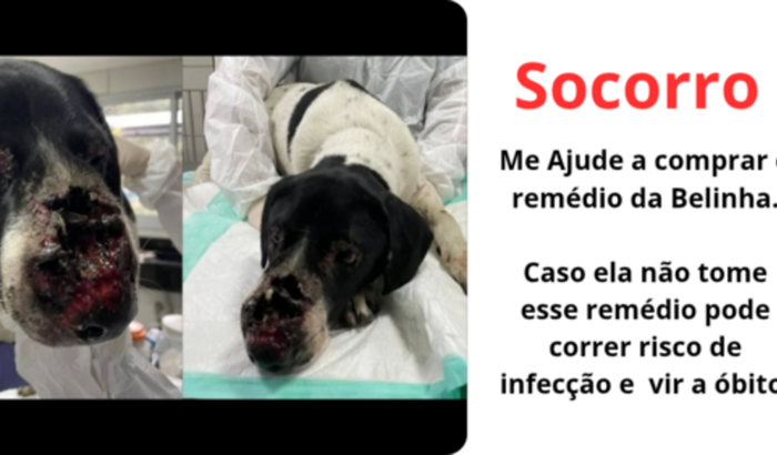 Me ajuda a salvar a Vida da Belinha Por favor 