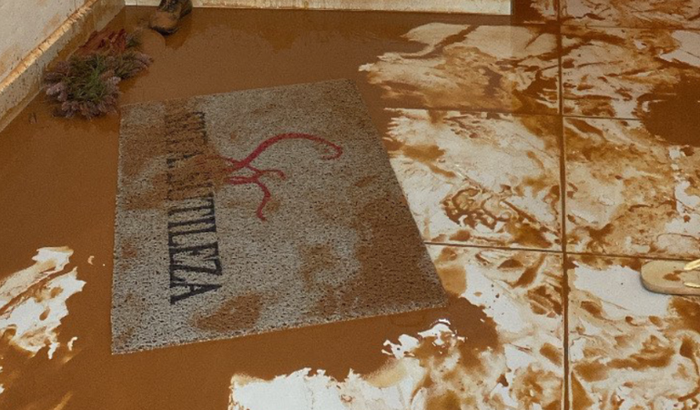 VAKINHA SOLIDÁRIA SRTA. SUTILEZA