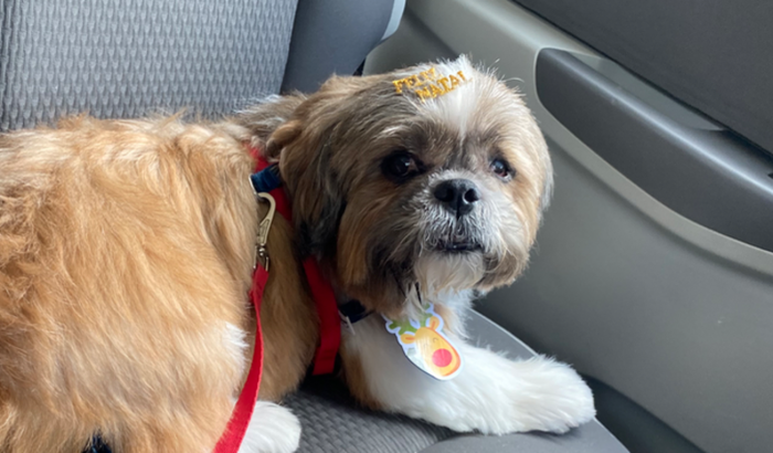 Ajuda para o Apach fazer tratamento.