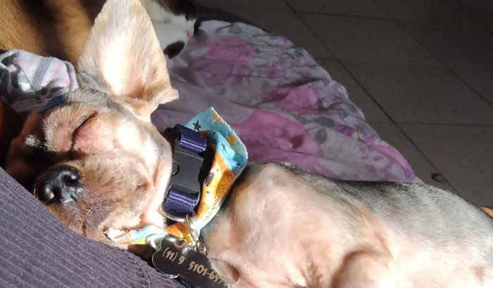 Vaquinha solidária para o Zeca