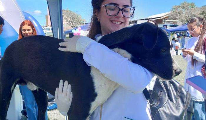 Sonho da faculdade de Veterinária
