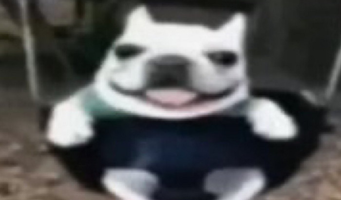 minecraft pro riquelimoes