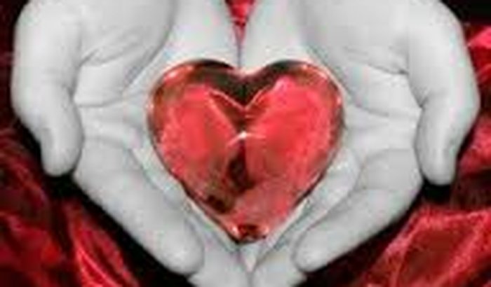 Cirurgia da minha Esposa 43748791453