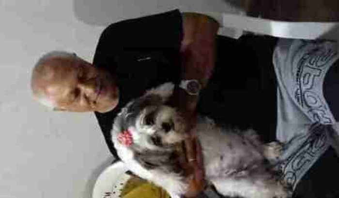 Ajude a Dory a sobreviver!