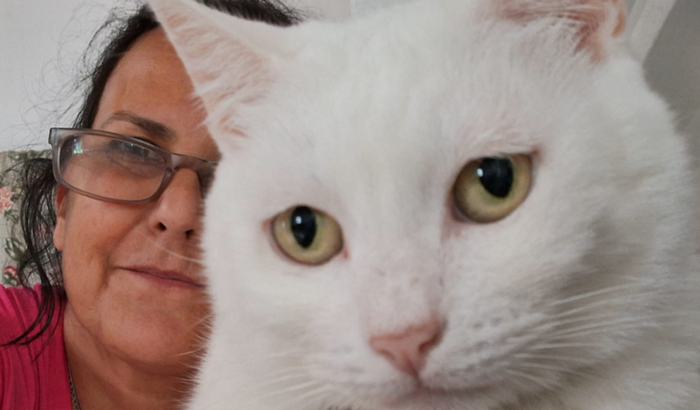 Ajude a Maricota e o Chiquinho!