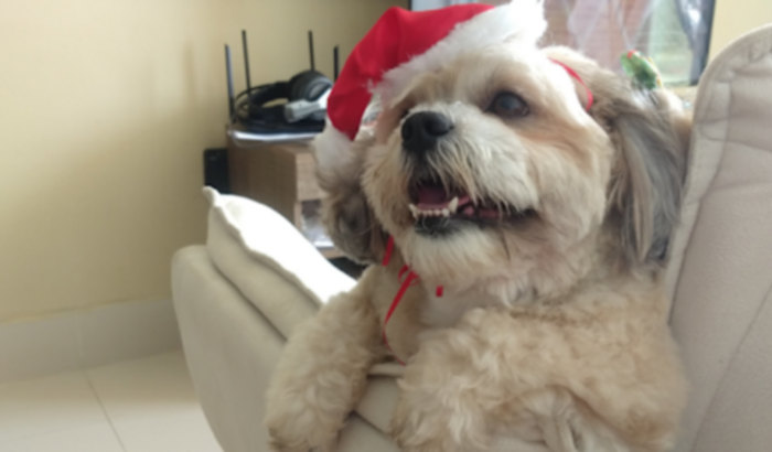 Ajuda para o tratamento da Hanna