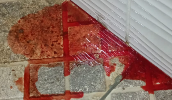 Exames & medicamentos  da menina 