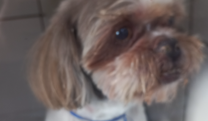 Ajude o Mike a sair dessa